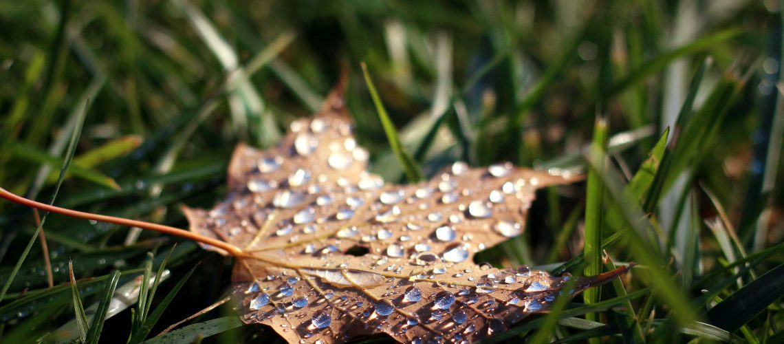 ¡Hola Otoño!